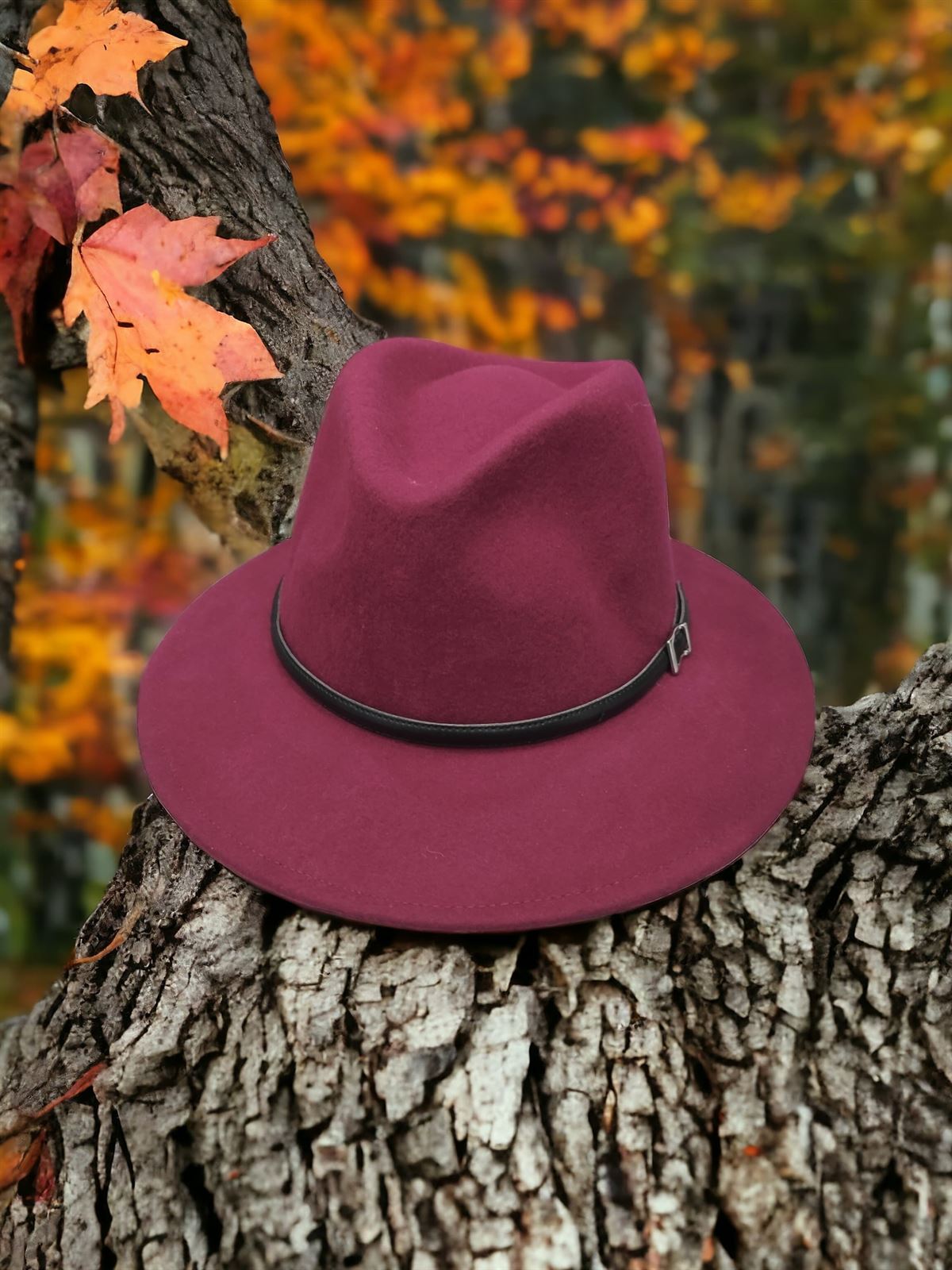 Sombrero fedora de lana en burdeos - Imagen 1